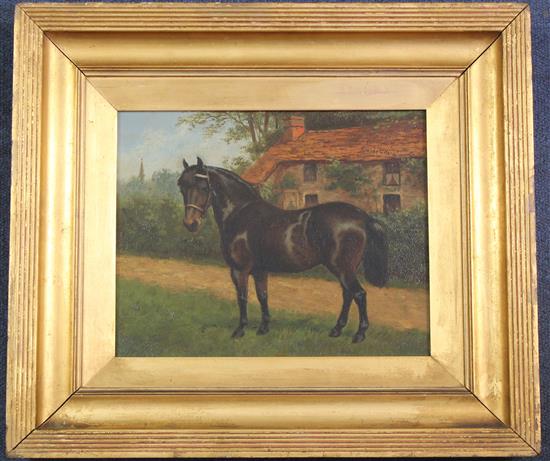 Henry Bird (1909-2000) Portrait of a black pony Tommy, 8.5 x 11in.